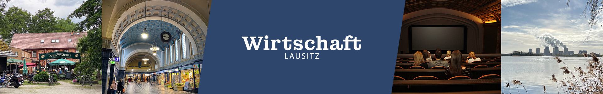 wirtschaft-lausitz banner blau